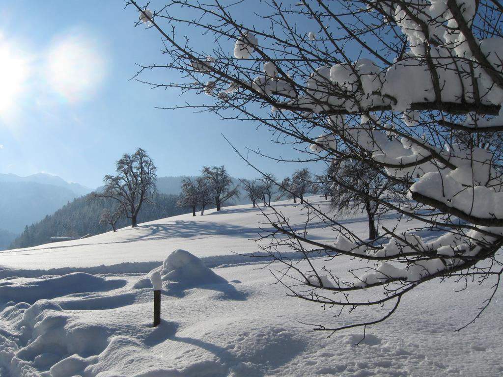 슈바르첸베르크 임 브레겐처발트 Schweizer Hof 빌라 외부 사진